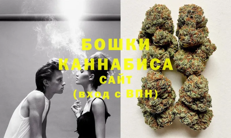 Конопля SATIVA & INDICA  купить закладку  Родники 